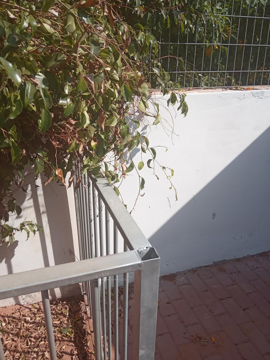 מבנה נשי חירות — אליכין